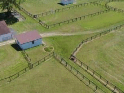 Bella View Farm